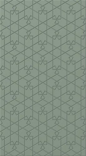 GR55