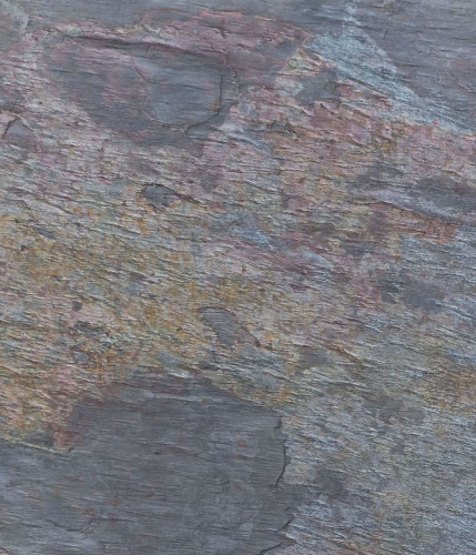 Multicolor-1
