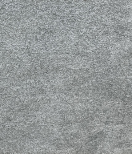 Silver-Shine-2