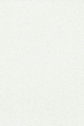 19003