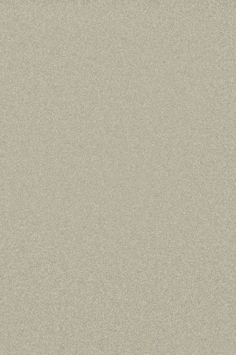 19005